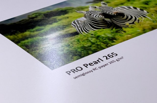 PRO Pearl 265