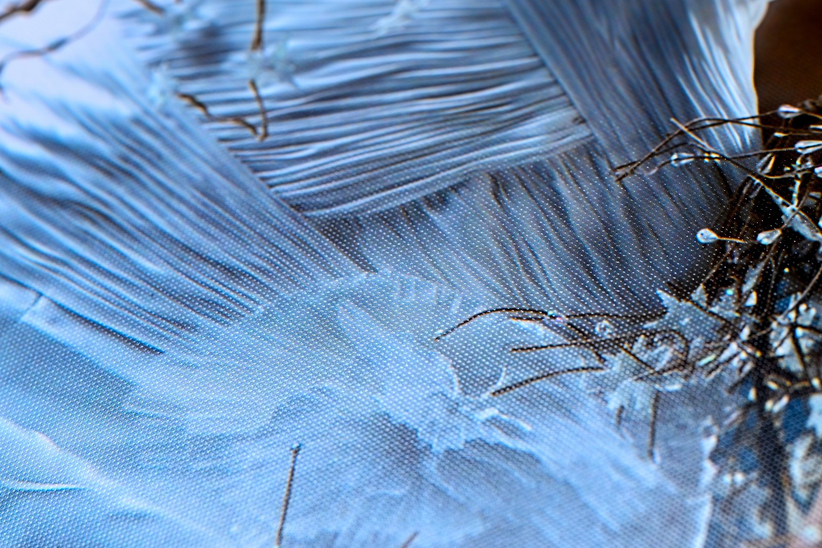 SILK fotografie – ukázka 2